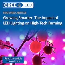 Cree LED J Series® JB3030C E & F Class White LEDs